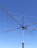 Antena CobWebb